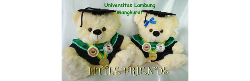 Boneka Wisuda Universitas Lambung Mangkurat